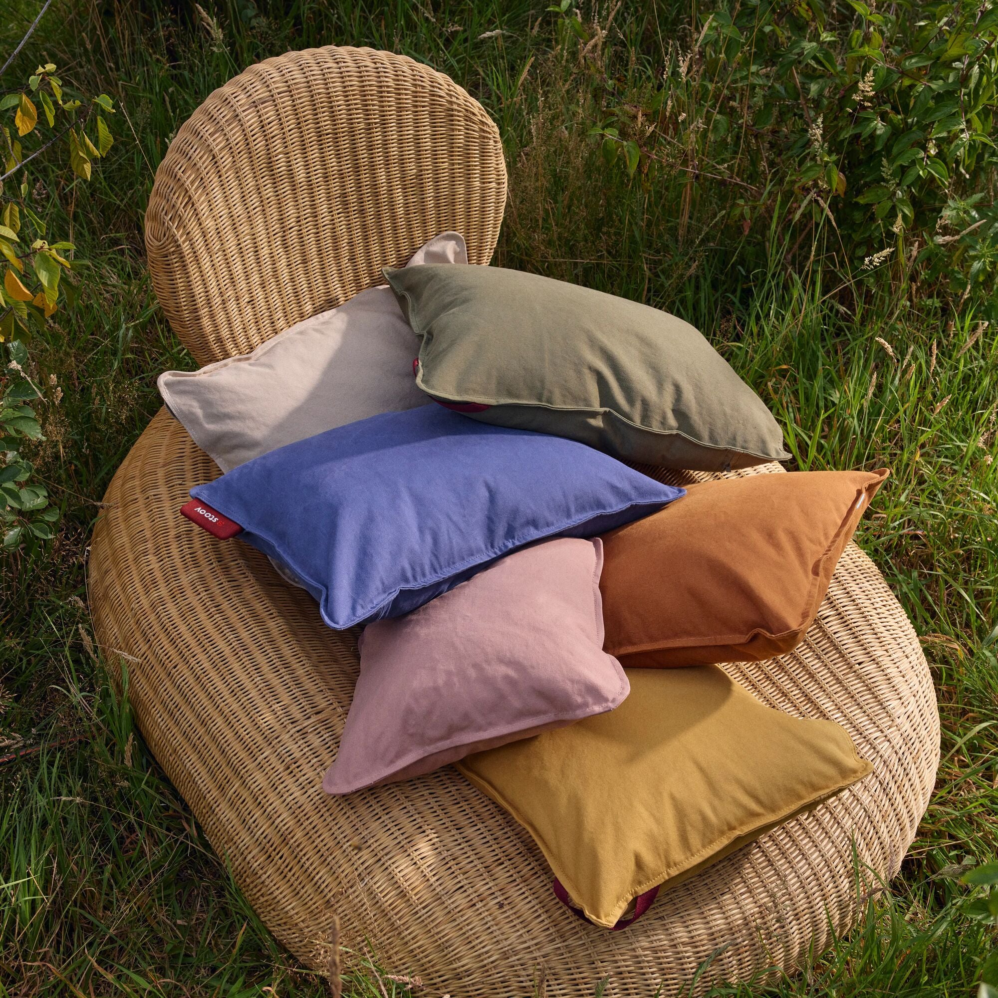 #color_sunflower-yellow