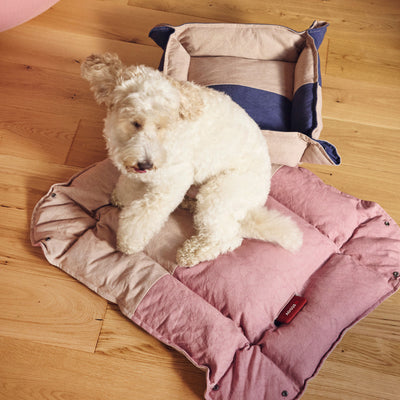 CANVAS NOOK XL PINK 