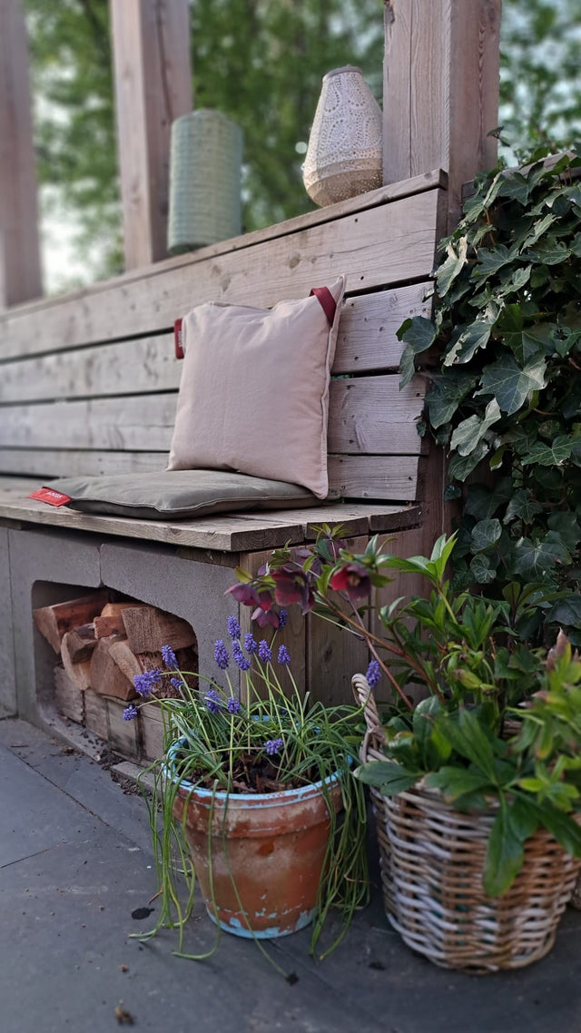 Machtelds prachtige tuin 🌸