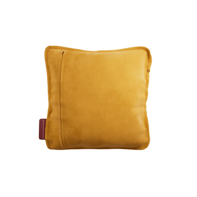 #color_ocher-yellow